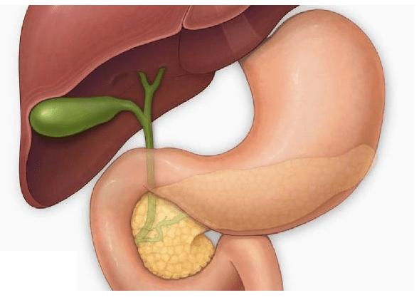 هزینه درمان بیماری های مجاری صفراوی