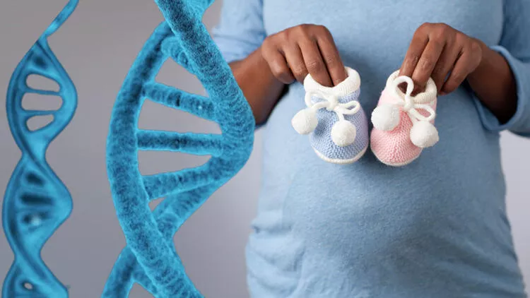 بیشترین رشد جنین در چند هفتگی است ؟