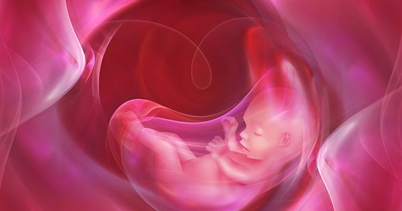 صدای قلب جنین پسر زودتر شنیده میشود یا دختر ؟