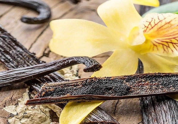 آیا وانیل در چاقی صورت موثر است؟